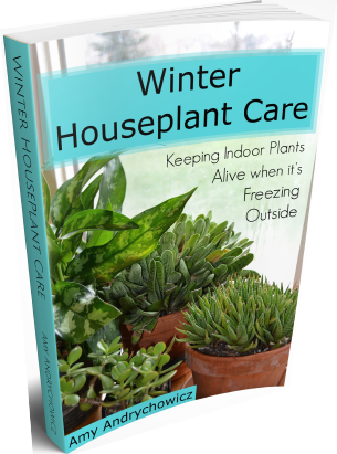 Houseplant Care (305x411), Png Download