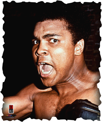 Cassius Marcellus Clay Jr - Muhammed Ali At 70 (357x428), Png Download