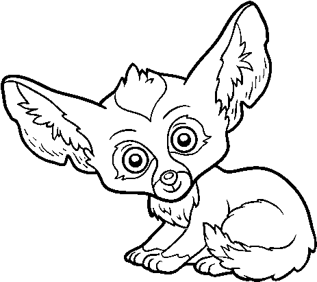 Fennec Fox Coloring Page - Illustration (600x470), Png Download