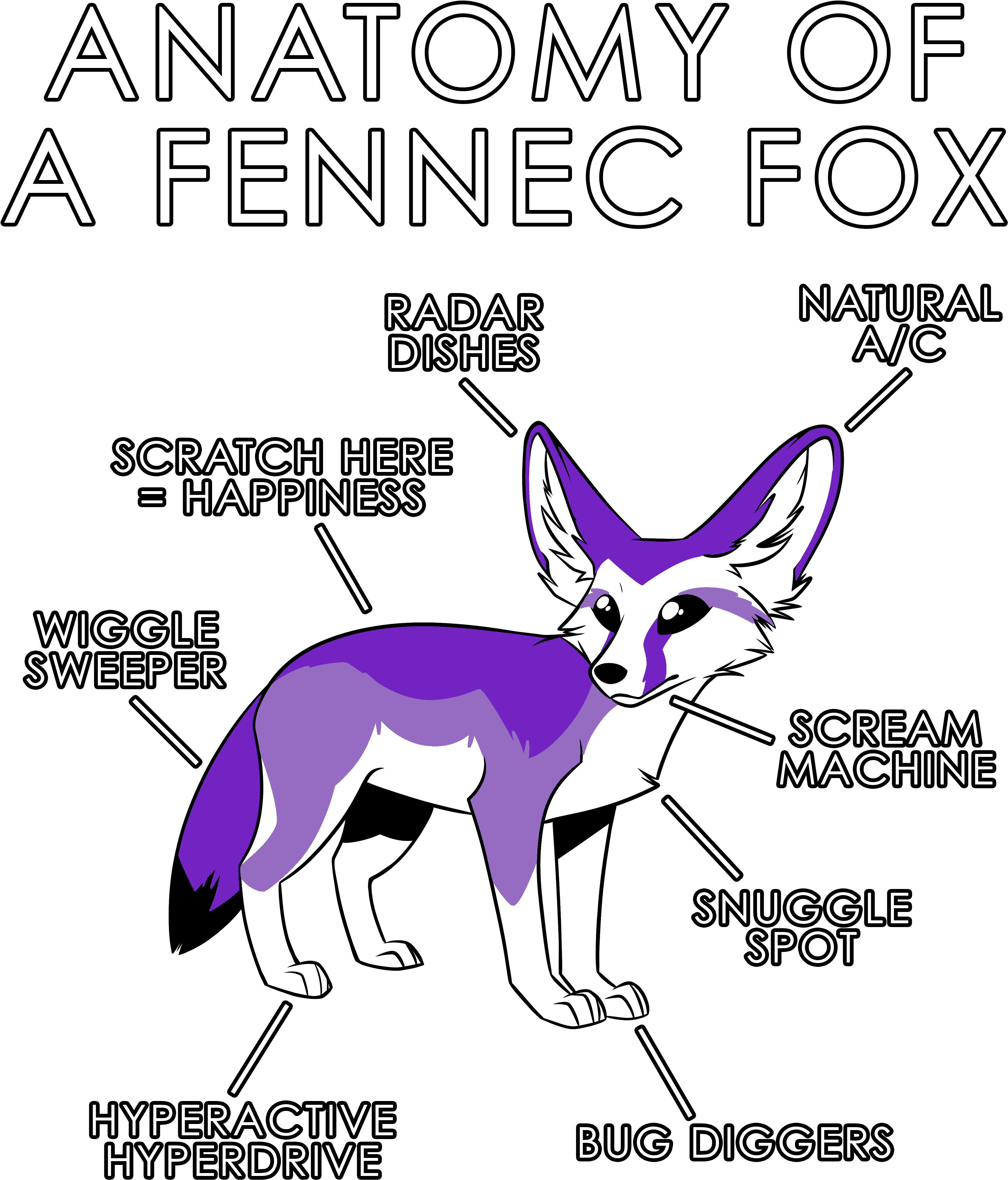 Anatomy Of A Fennec - Anatomy Of A Fennec Fox (3630x4950), Png Download