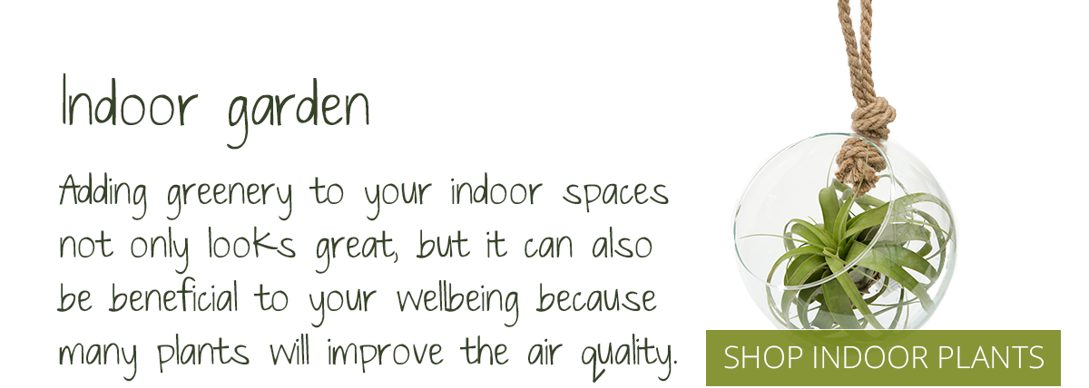 No One Has A Better Selection Of Indoor And Outdoor - Calligraphy (1200x428), Png Download