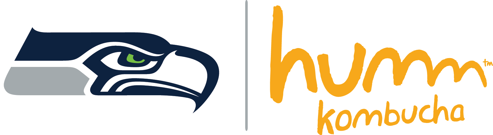 Seattle Seahawks And Humm Kombucha - Seattle Seahawks 2016 Logo (1713x472), Png Download