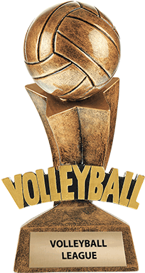 2580vo - Volleyball Championship Trophy (300x400), Png Download