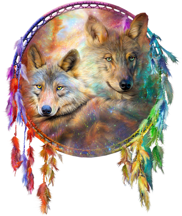Cowboy Indien - Wolf Dreamcatcher (600x700), Png Download