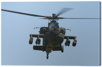 Elite Choppers: Birds Of Prey - (import Dvd) (400x400), Png Download