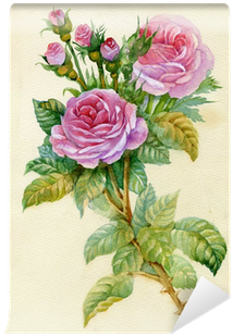 Watercolor Flower Collection - Watercolor Painting (400x400), Png Download