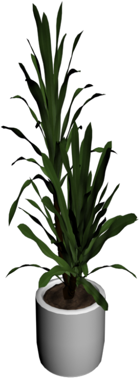 Yucca Palm Tree - Seapunk (1000x1000), Png Download