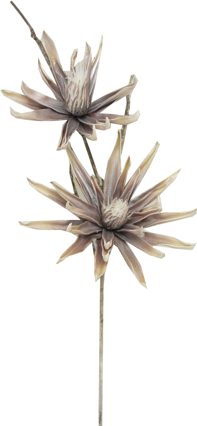 Yucca Spray - Translation (688x1488), Png Download