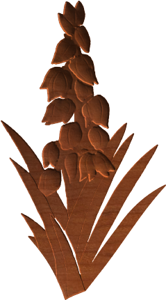 Yucca - Pond Pine (430x430), Png Download