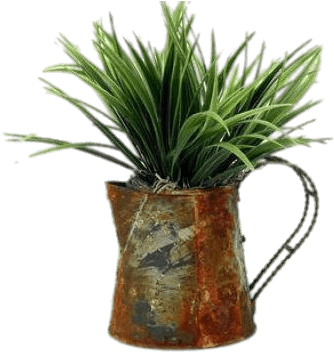 Download - Watering Can (400x371), Png Download