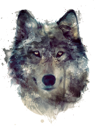 Neko - Wolf Art (467x600), Png Download