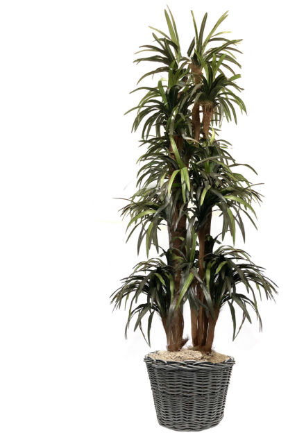 Basket (632x632), Png Download