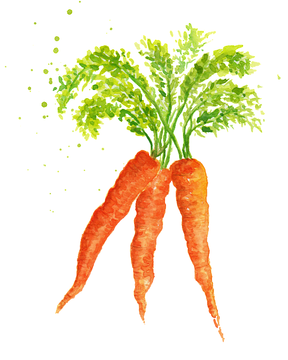 Watercolor Vegetables And Carrots Png Material - Vegetable (650x788), Png Download