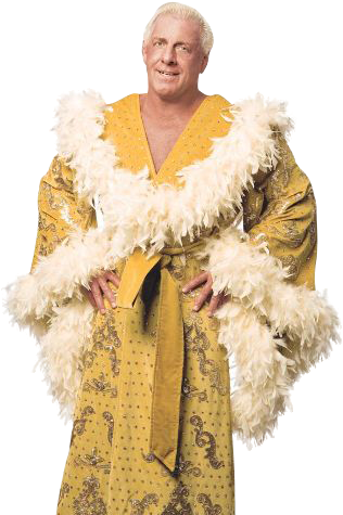 Wwe Le Hace Oferta A Ric Flair Para Que Este No Se - Kimono (330x495), Png Download