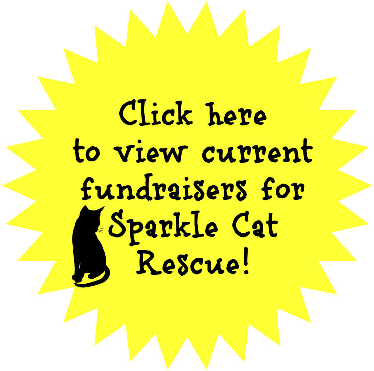 Picture - - Buon Compleanno - Happy Birthday In Italiano Card (800x800), Png Download