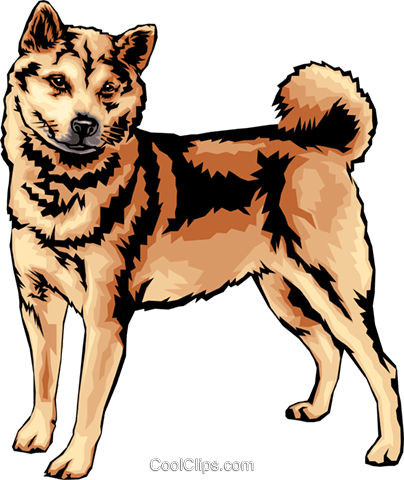 Shiba Inu Royalty Free Vector Clip Art Illustration - Shiba Inu (404x480), Png Download