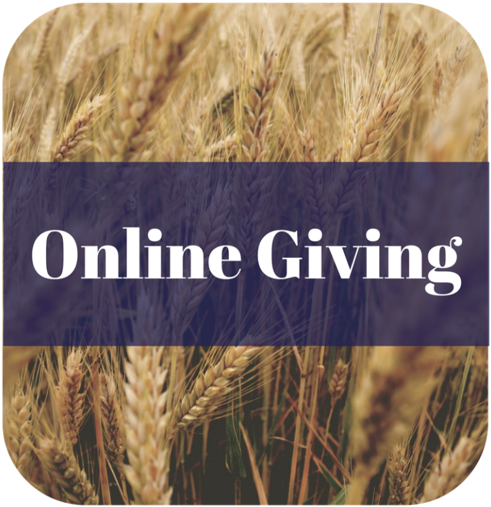 Praying The Promises Of God: Book 3 Prayer Works Series (768x768), Png Download