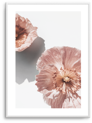 Abstract Poppies No 2 Abstract Poppies No - Poppy (476x600), Png Download