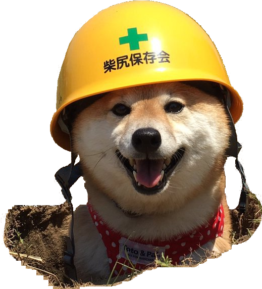 For Your Photoshopping Pleasures, Here Is A Cutout - Shiba Inu Wearing Helmet (699x664), Png Download