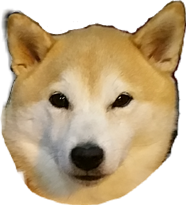 Shibainu Shiba Shibadog Doge Kawaii - Hokkaido (606x668), Png Download