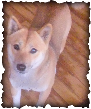 Im Alone Without U (364x436), Png Download