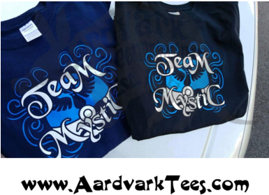 Mystic Team T-shirt - Hand Printed Fan Tee (384x480), Png Download