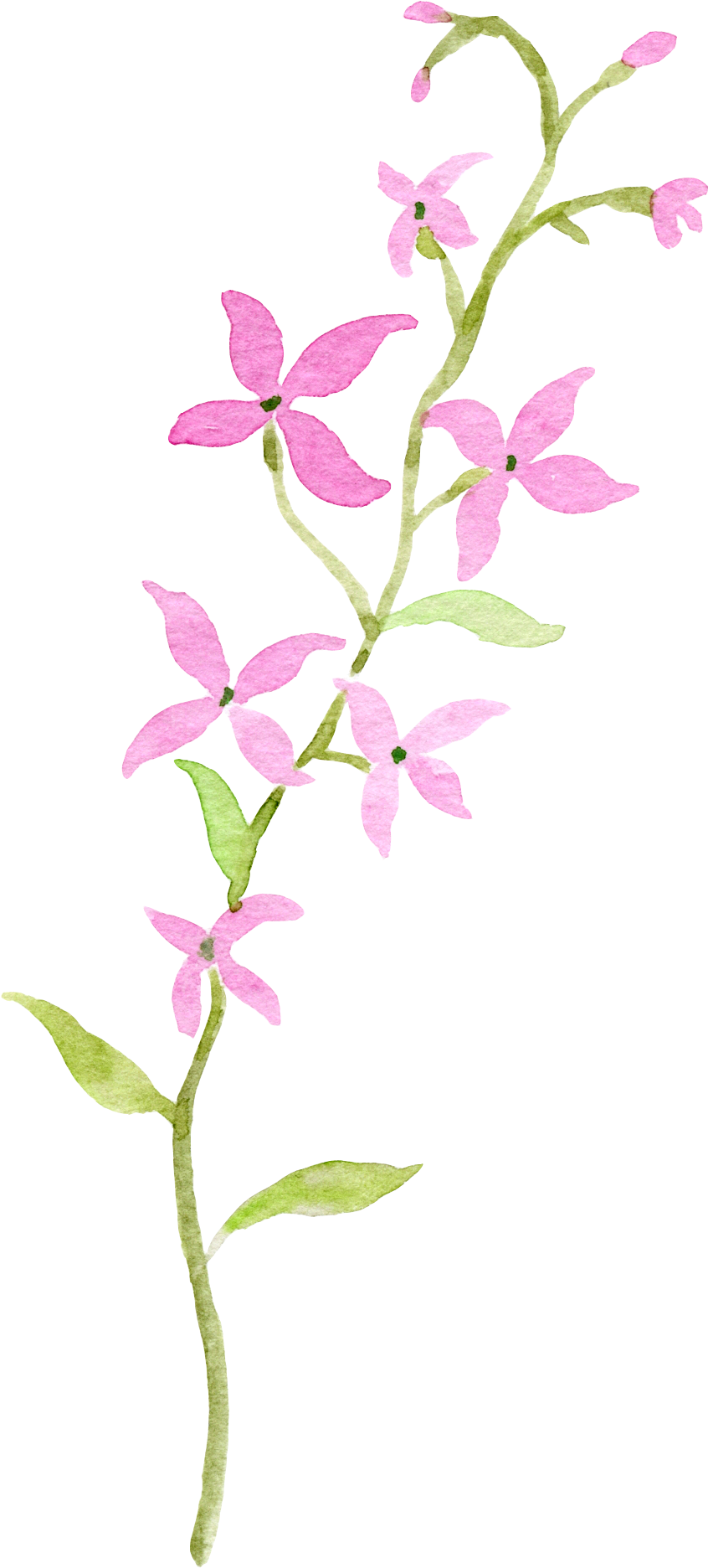 Watercolor - 0℃素材8 - Watercolor Painting (891x1885), Png Download