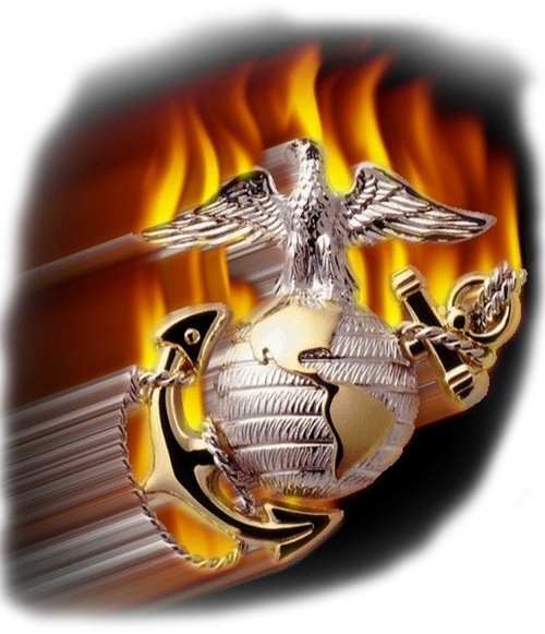 Eagle Globe And Anchor - Us Marines (500x581), Png Download