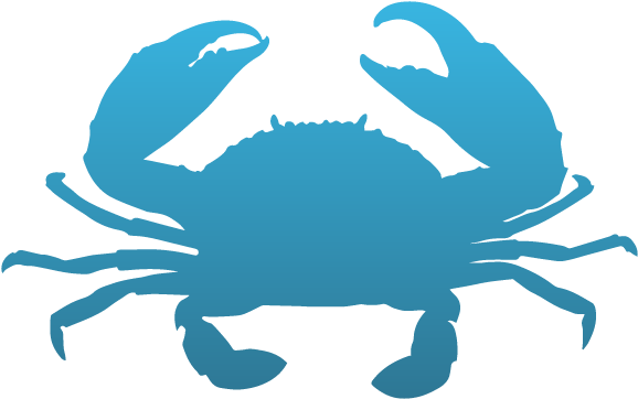 Crabs Png (587x543), Png Download