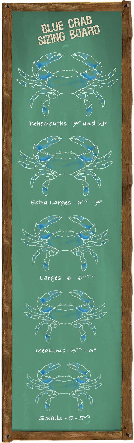 Chesapeake Blue Crab (480x1600), Png Download