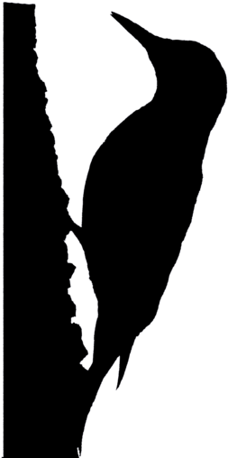 About 336 Free Commercial & Noncommercial Clipart Matching - Red Bellied Woodpecker Silhouette (260x510), Png Download