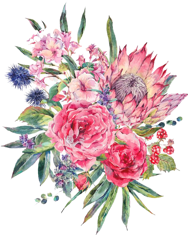 Bouquet Vector Rose Watercolor Image Transparent Stock - She Believed She Could So She Did: Bullet Grid Journal (658x842), Png Download
