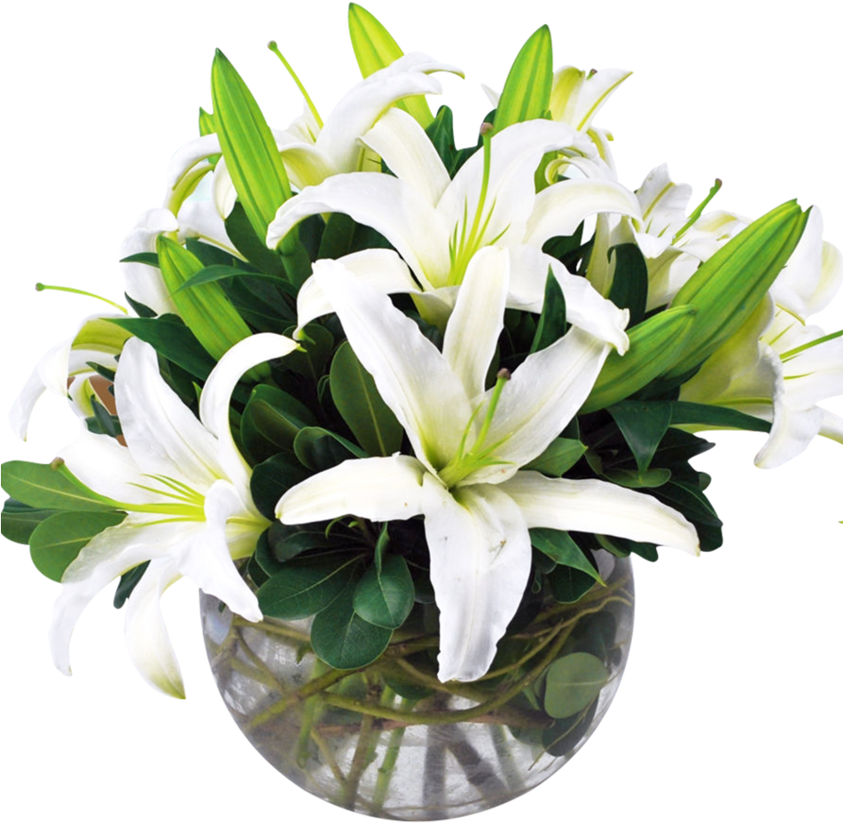 Round Look Of All White Lilies In A Bubble Bowl - Flower (950x1140), Png Download