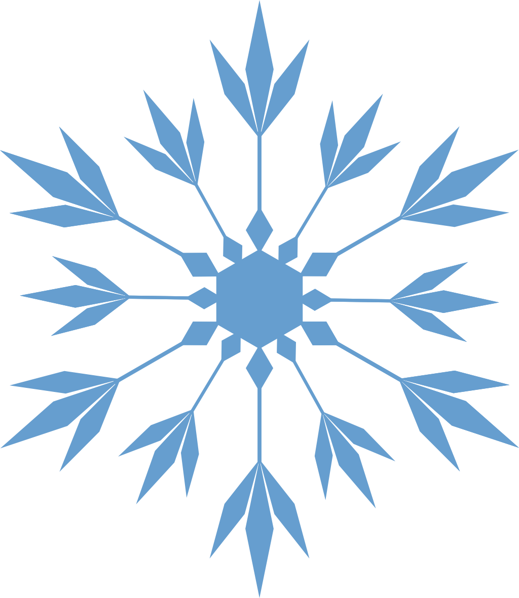 Source - - Floco De Neve Vetor Png (1024x1181), Png Download