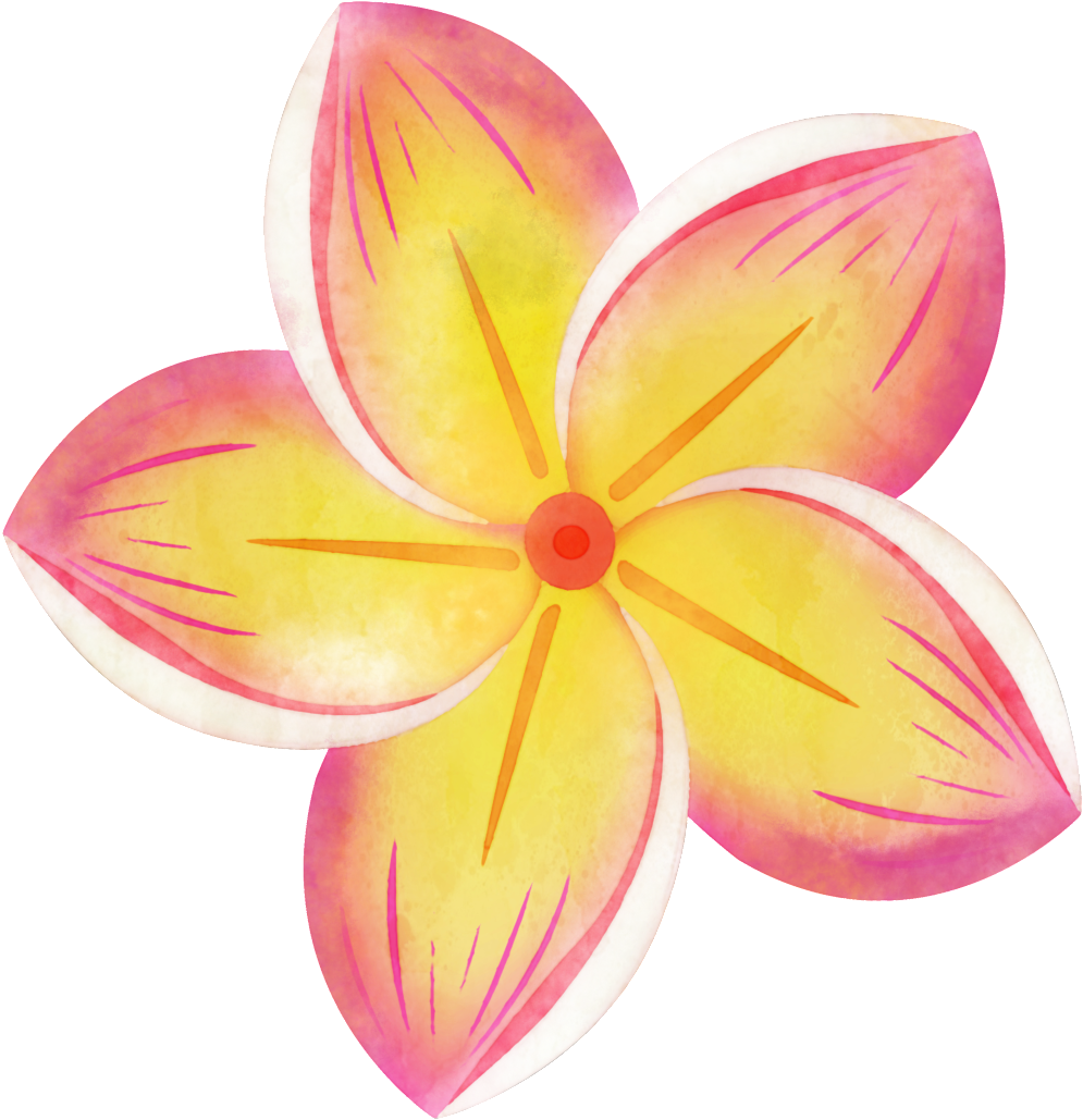 Hand Painted Colorful Plumeria Png Transparent - Flower Clipart (1024x1060), Png Download