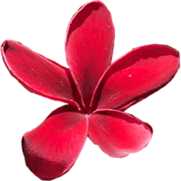 Maui (640x640), Png Download
