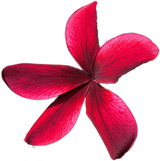 Click And Drag To Re-position The Image, If Desired - Shuriken (600x588), Png Download