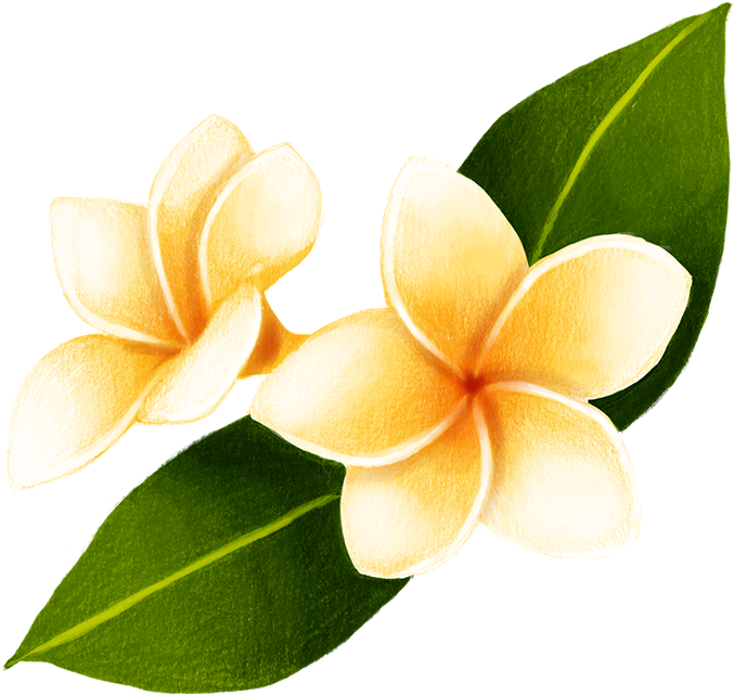Thank You - Frangipani (945x714), Png Download