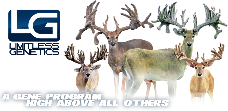 Limitless Genetics - Texas (1000x486), Png Download