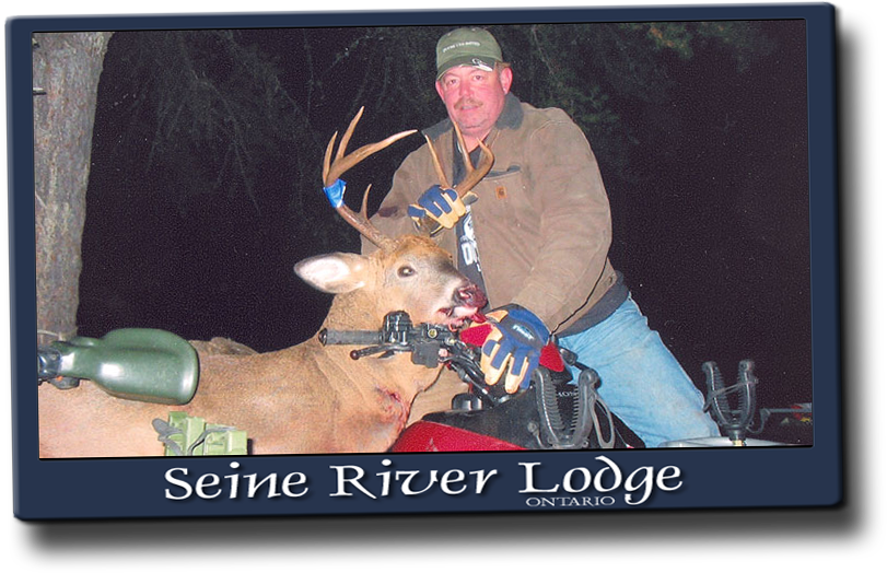 Guided Whitetail Deer Hunts - Deer Hunting (811x524), Png Download