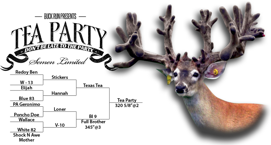 Tea Party Deer - Deer Farm (930x500), Png Download