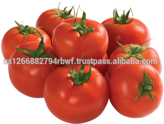 Flamenco Art Print - Mini By Sustici (400x400), Png Download