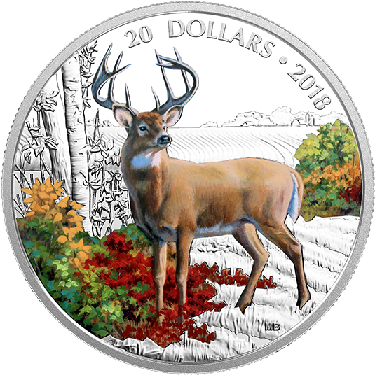 Pure Silver Coloured Coin - Silver Coin (570x570), Png Download
