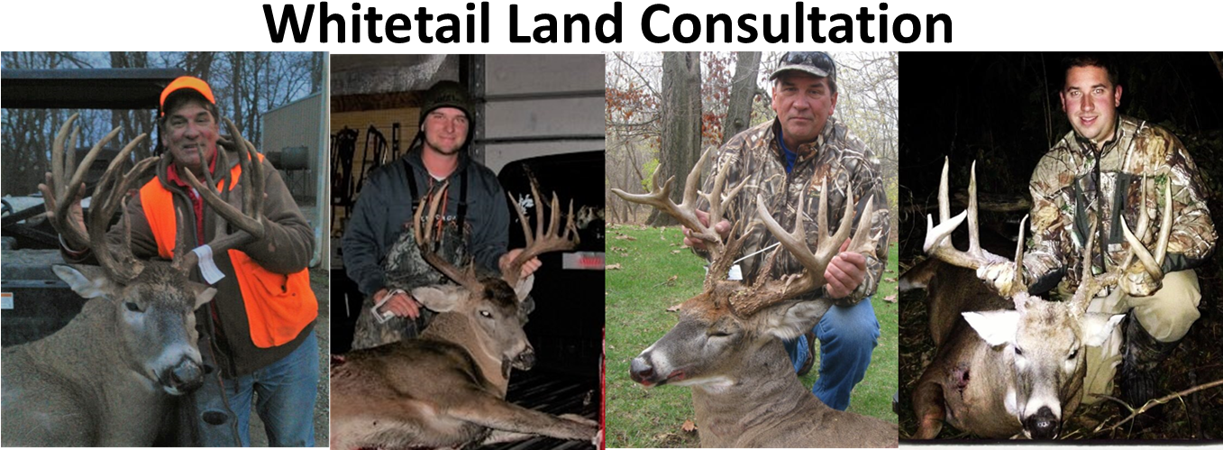 Whitetail Land Consulting Heartland Lake And Land Management - Management Consulting (1356x534), Png Download