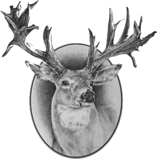 Legendary Northway Outfitters - Marketing (576x570), Png Download