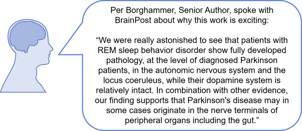 Remquote1800 - Portable Network Graphics (1000x436), Png Download