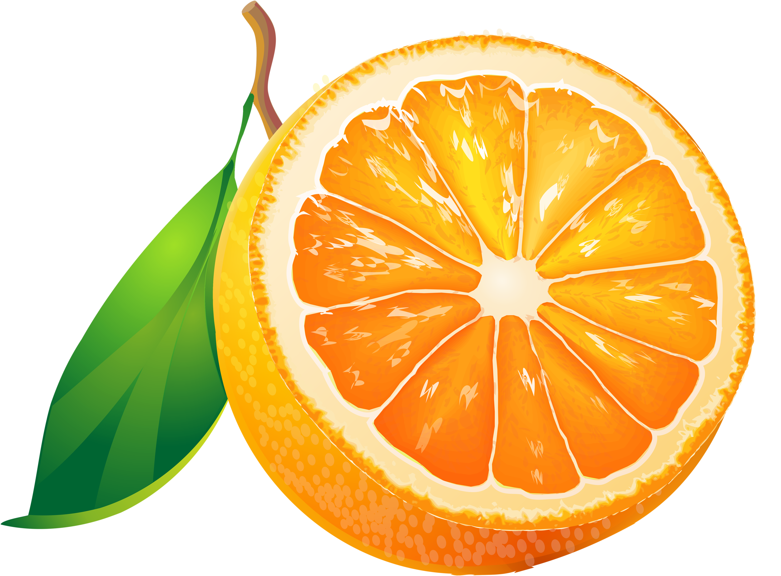 Фотки Fruit Clipart, Food Clipart, Fruit Painting, - Orange Fruit And Vegetable Clip Art (2560x1891), Png Download