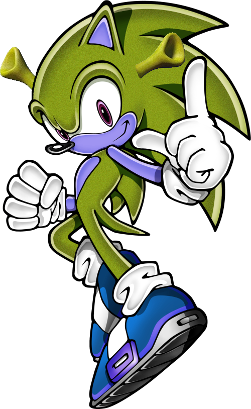 Hedgehog Have Many Layer - Sonic Rush Ds (500x814), Png Download