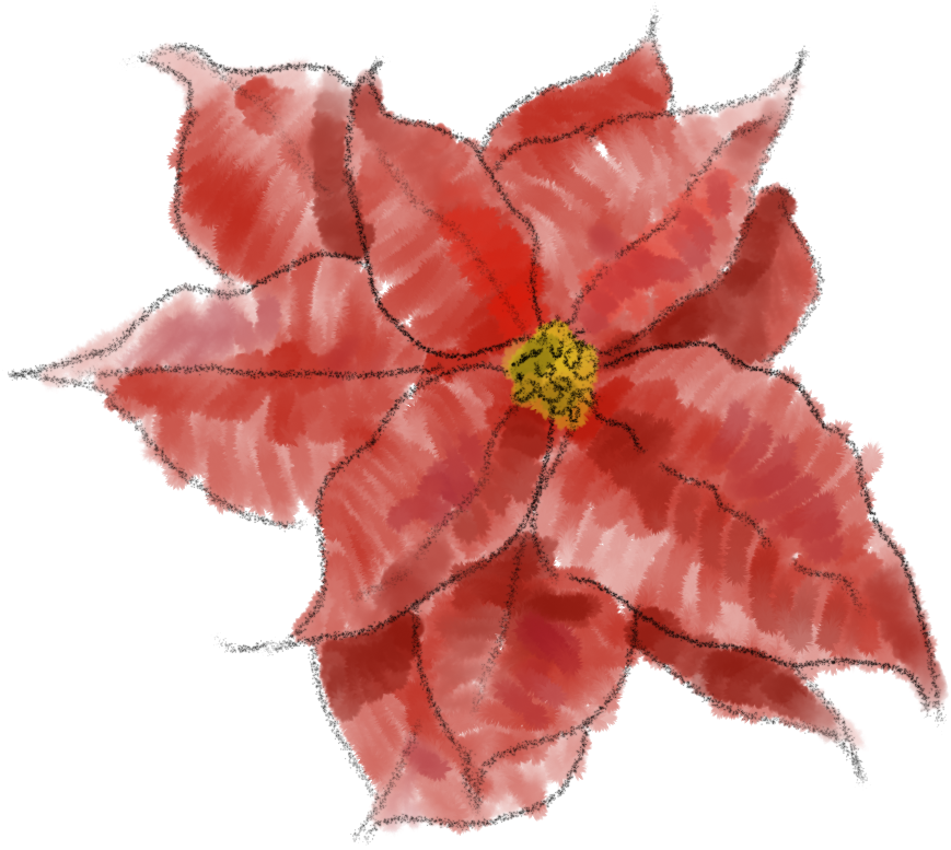 Poinsettia Png Image - Red Poinsettia Png (896x832), Png Download