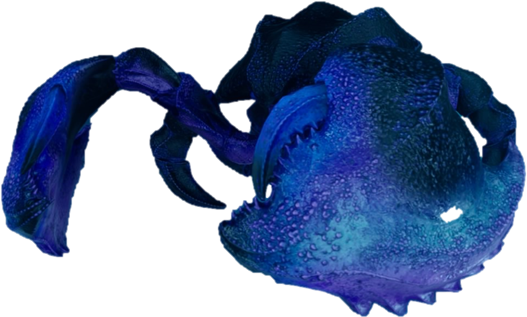 Mightyshears - American Lobster (545x331), Png Download